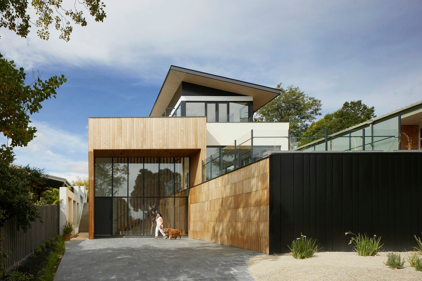 A neighbor walking a dog past a modern home with a wooden facade